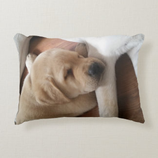 Lab Love Pillow