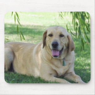 Lab mouse pad