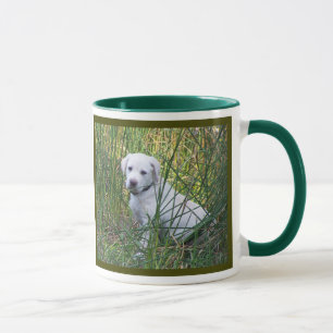lab mug