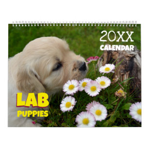 Lab Puppies Labrador Retriever Cute Calendar