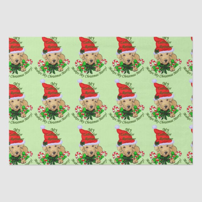 Lab Puppy Christmas Tissue Paper (Front)