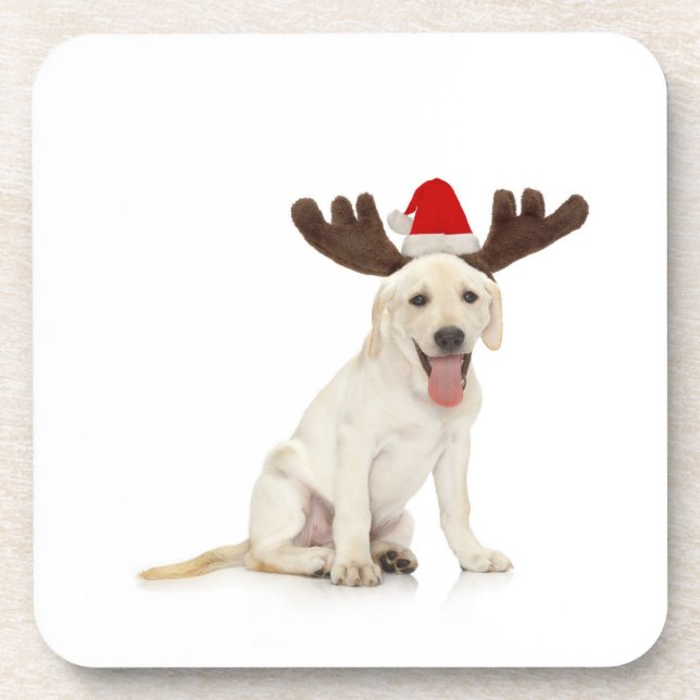 Lab Puppy Wearing Antlers Coaster (Front)