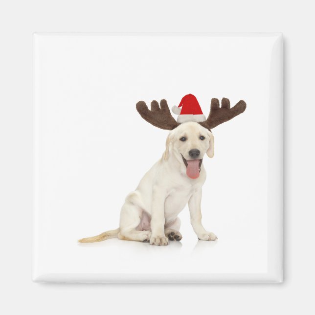 Lab Puppy Wearing Antlers Magnet (Front)