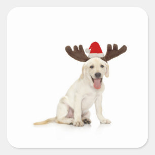 Lab Puppy Wearing Antlers Square Sticker