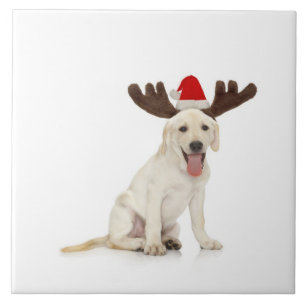 Lab Puppy Wearing Antlers Tile