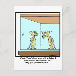 Lab Rat Postcard