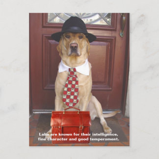 Lab Traits - Fine Character Postcard