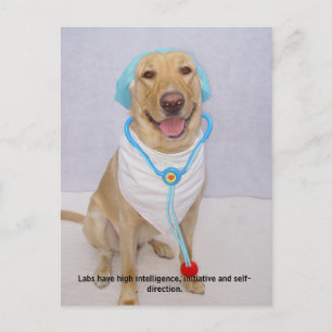 Lab Traits - High Intelligence Postcard