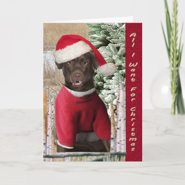 Lab Wants Two Front Teeth Holiday Card (Front)