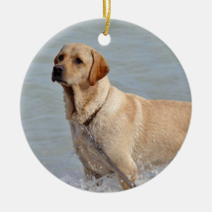 Lab Yellow Dog Water Photo Ceramic Ornament