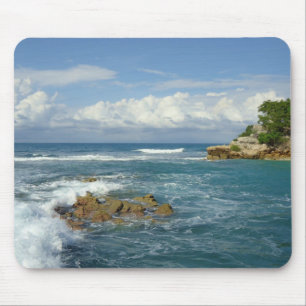 Labadie Seascape Mouse Pad