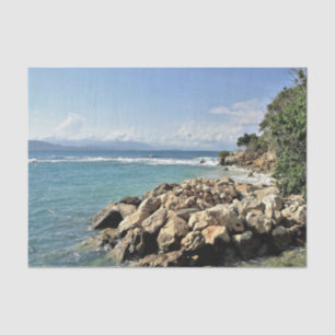 Labadie Seascape No. 2 Tissue Paper