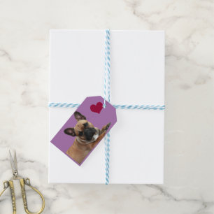 Label label French Bulldogge