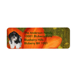 Label Return Address Shih Tzu & Flowers