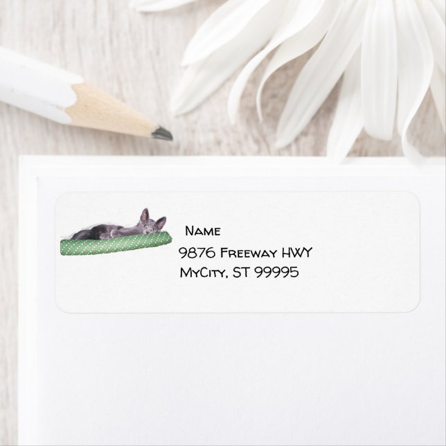 Label - Return - Russian Blue Kitten Return Address Label (Insitu)