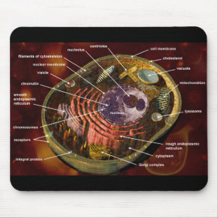 Labelled human cell mouse pad