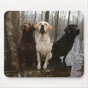 labrado mouse pad