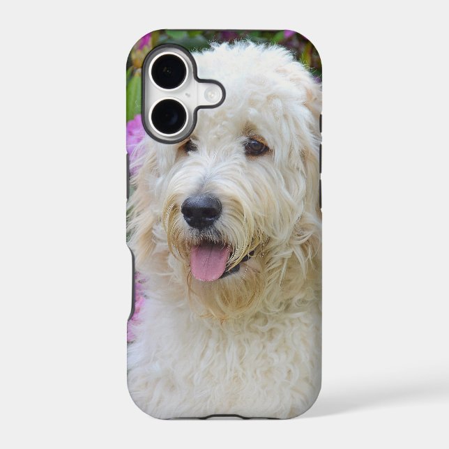 Labradoodle (Back)