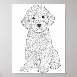 Labradoodle Adult Colouring Poster