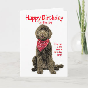 Labradoodle Birthday Card