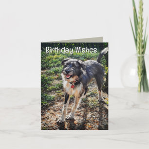 Labradoodle Birthday Folded Greeting Card
