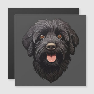 Labradoodle Black Dog