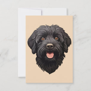 Labradoodle Black Dog