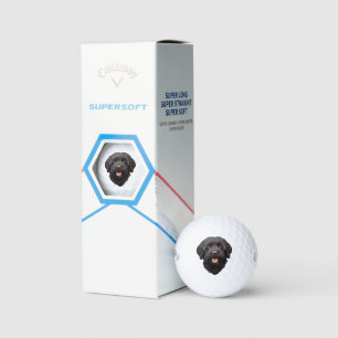 Labradoodle Black Dog Golf Balls
