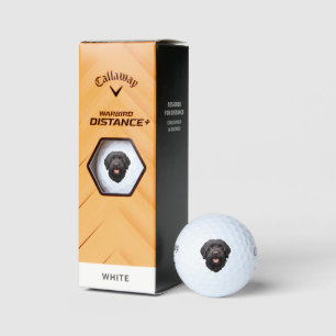 Labradoodle Black Dog Golf Balls