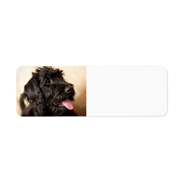 labradoodle black return address label (Front)