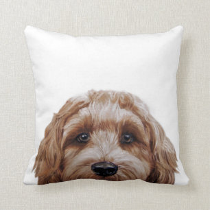 Labradoodle Brown Original painting by miart Cushion