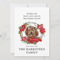 Labradoodle brown Watercolor Poinsettia Christmas