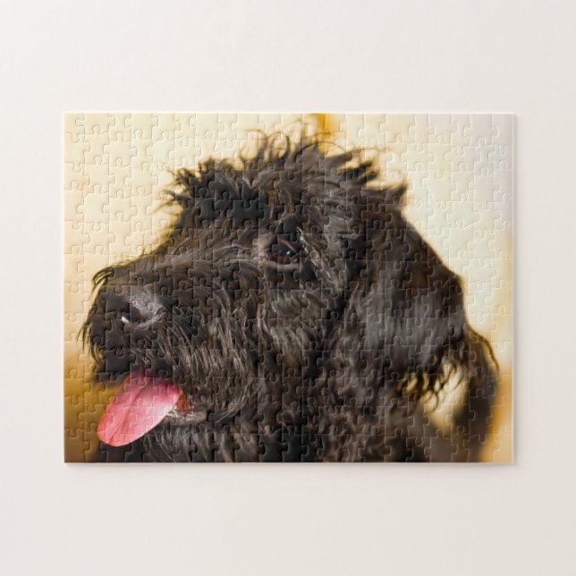 Labradoodle Dog. Jigsaw Puzzle (Horizontal)