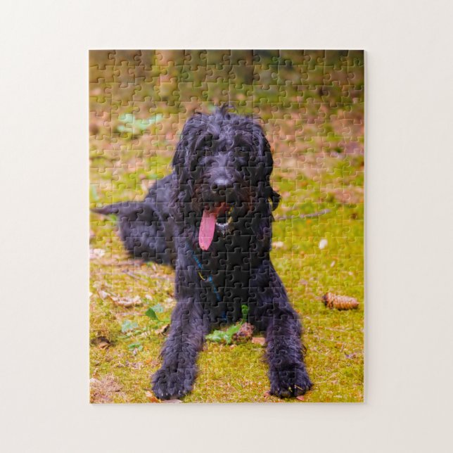 Labradoodle Dog. Jigsaw Puzzle (Vertical)