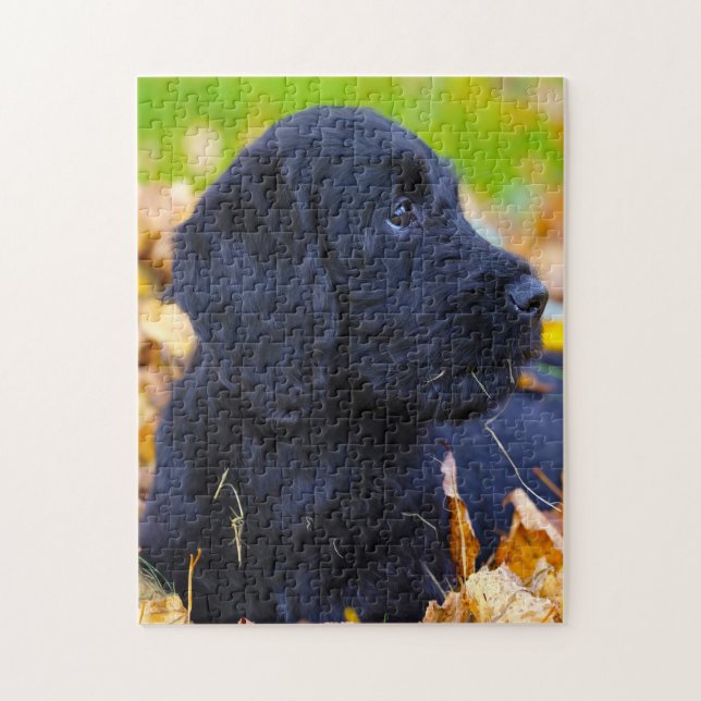 Labradoodle Dog. Jigsaw Puzzle (Vertical)