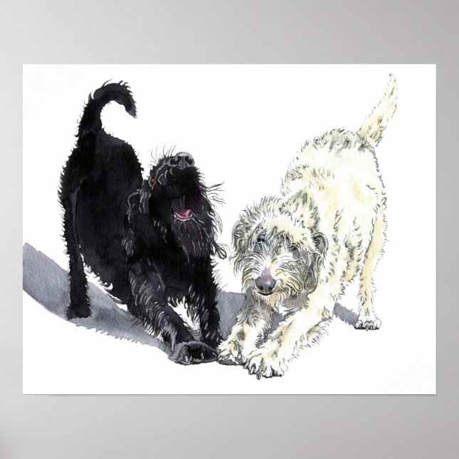 Labradoodle Doodle Poster (Front)