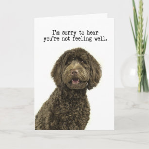 Labradoodle Get Well Card
