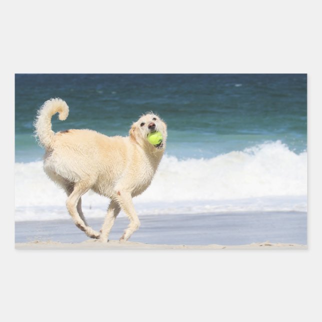 Labradoodle - Happy Day on the Beach Rectangular Sticker (Front)