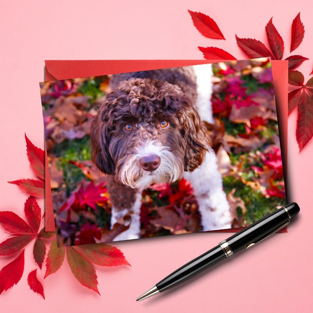 Labradoodle In Autumn Card (Send autumn cheer with Duke the Labradoodle note card.)