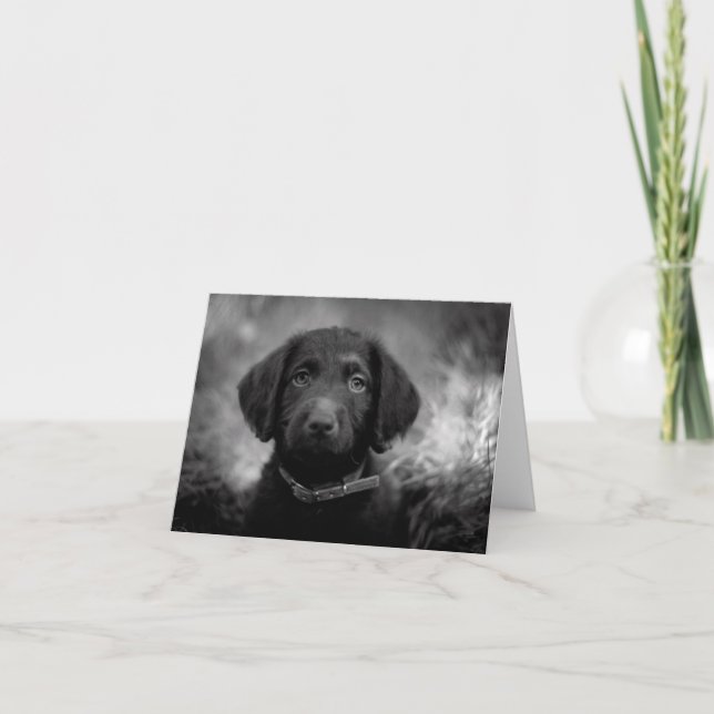 Labradoodle in B&W Notecard (Front)