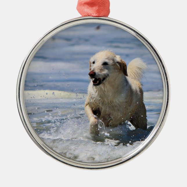 Labradoodle - Izzy Metal Tree Decoration (Front)