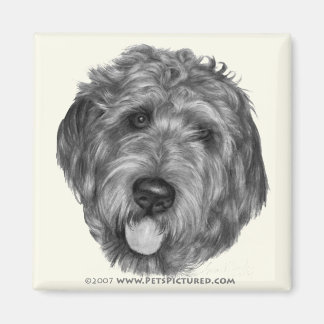 Labradoodle Magnet