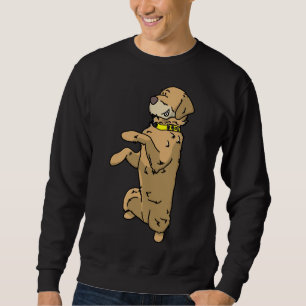 Labradoodle Makes Males Sweatshirt