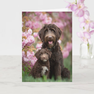 Labradoodle Mum Mother’s Day Love Card