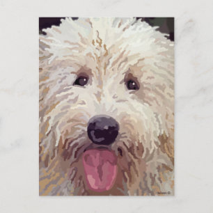 Labradoodle or Golden Doodle Painting on Postcard