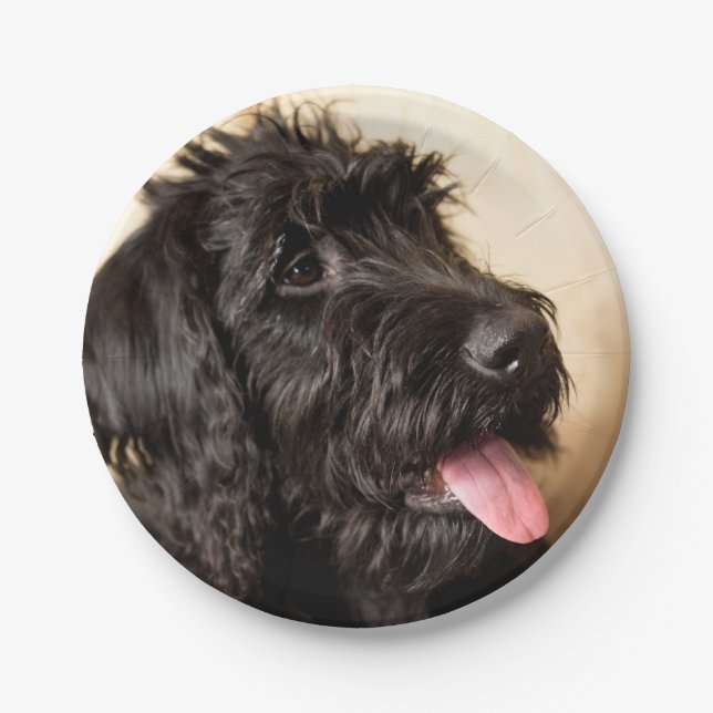 Labradoodle Paper Plates, 7" Paper Plate (Front)