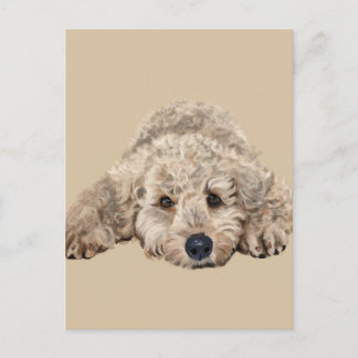 Labradoodle Postcard