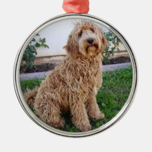Labradoodle Puppy Dog Metal Ornament