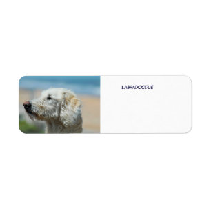 Labradoodle Return Address Label