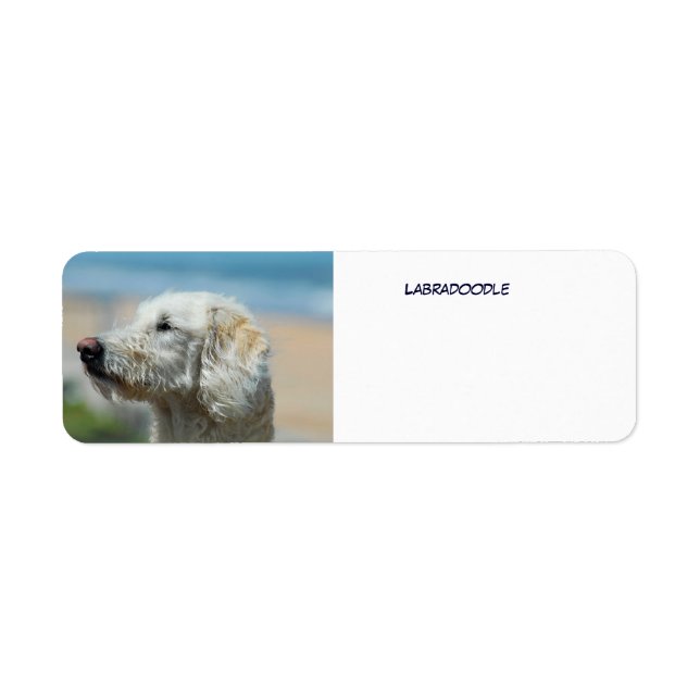 Labradoodle Return Address Label (Front)